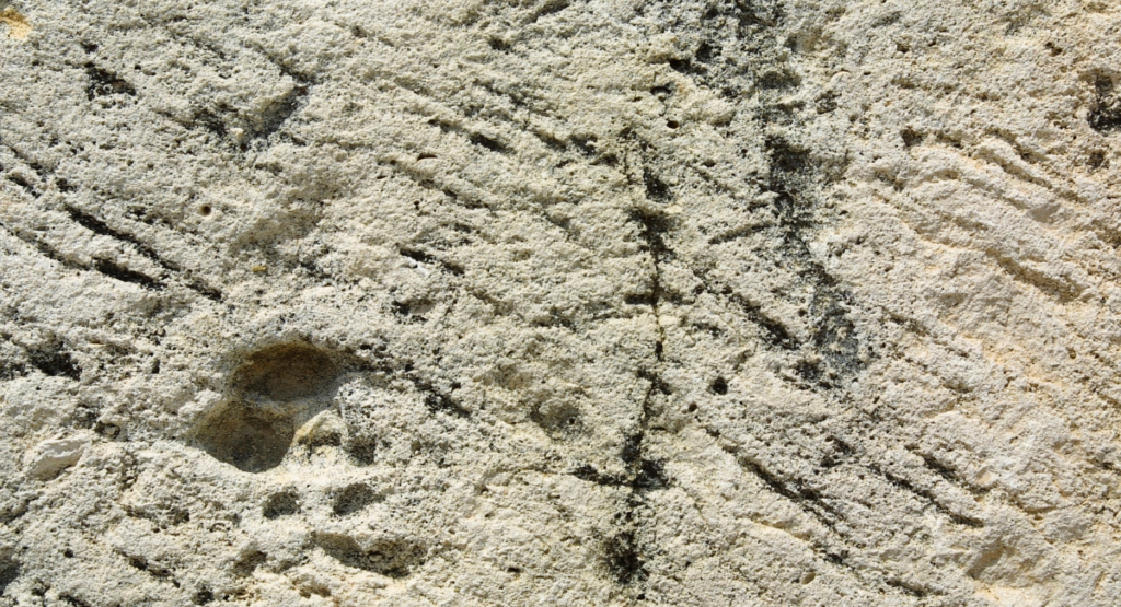 Biorock – Baustoff