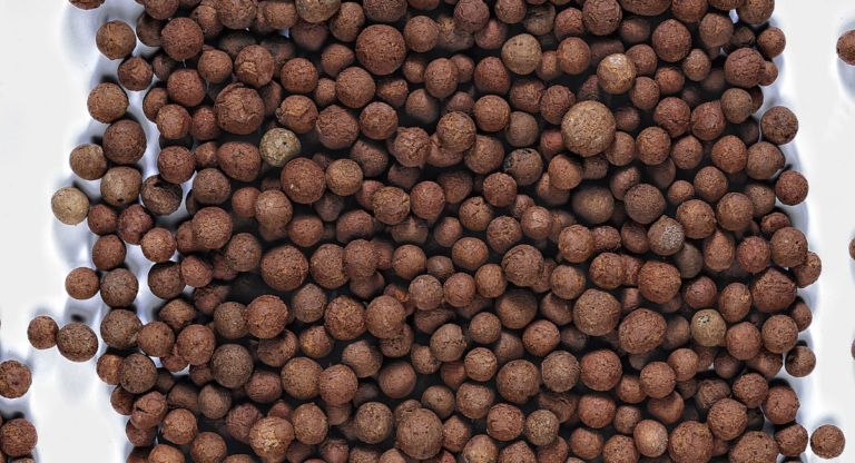 Blähton Bau Alle Infos Allgemein NEUWEST