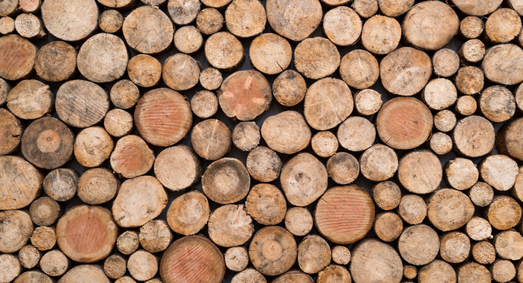 Holz – Baustoff